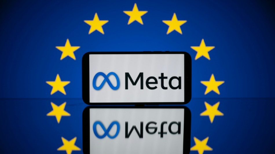 Datensch&uuml;tzer fordern von EU-Beh&ouml;rde Verbot von Metas Bezahlmodell