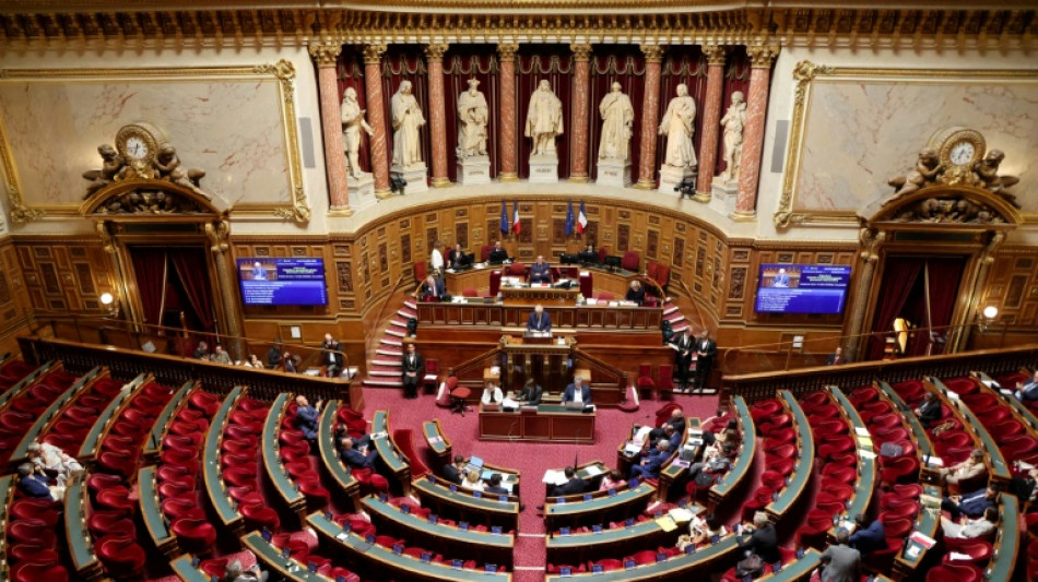 S&eacute;natoriales: journ&eacute;e d&eacute;cisive pour le RN, en qu&ecirc;te d'un groupe au S&eacute;nat