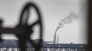 L'Ue verso il rinvio della stretta sull'import di metano
