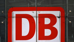 Monopolkommission erneuert mit Blick auf Sondervermögen Ruf nach Bahn-Aufspaltung
