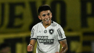 Botafogo e Atl&eacute;tico-MG na final da Libertadores: vit&oacute;ria das SAFs?