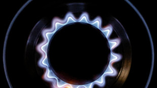 Il gas apre in rialzo sul mercato di Amsterdam (+1,3%)