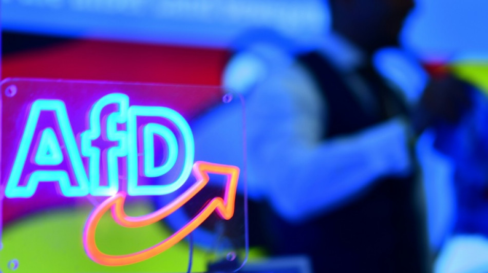 Le vent en poupe, le parti d'extrême droite allemand AfD refonde sa jeunesse