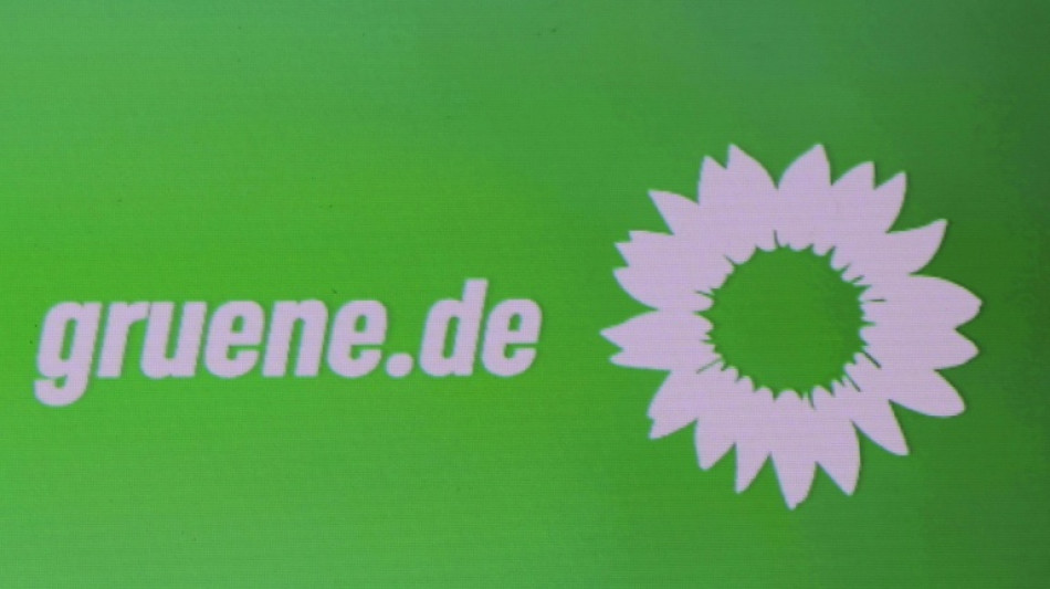 Gr&uuml;ne bieten Regierung Zusammenarbeit bei Sozialreformen an