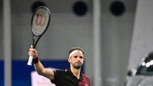 Wildcard Schwartzman knocks Fritz out of Shanghai Masters