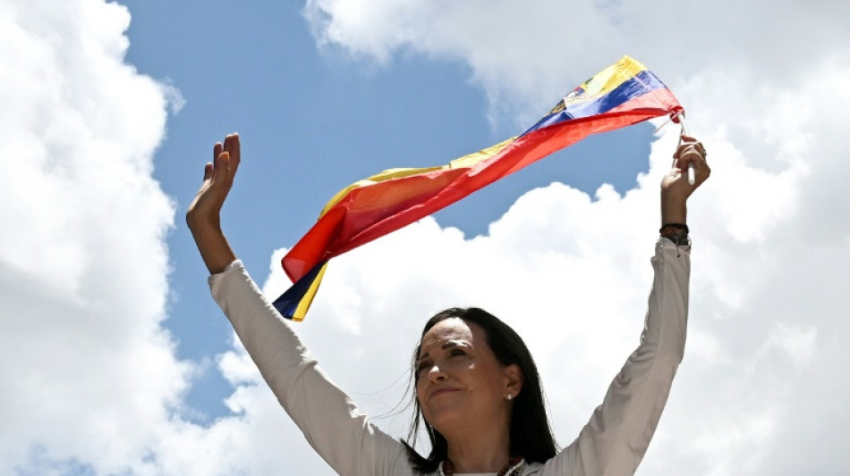 Opositora urge o Brasil a reconhecer Gonz&aacute;lez como presidente eleito da Venezuela