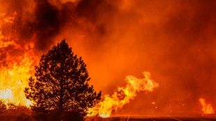 Tausende Menschen bei gro&szlig;em Waldbrand in Kalifornien evakuiert