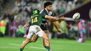 Springbok coach Erasmus introduces 'hybrid player' Esterhuizen
