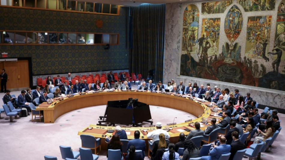 EEUU veta en la ONU resolución para pedir alto el fuego en Gaza
