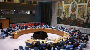 EEUU veta en la ONU resolución para pedir alto el fuego en Gaza