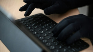 Schlag gegen internationale Hackergruppierung: Zw&ouml;lf T&auml;ter identifiziert