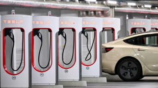 Mutma&szlig;licher Anschlag in Brandenburg: Stromausfall in Tesla-Werk und Haushalten