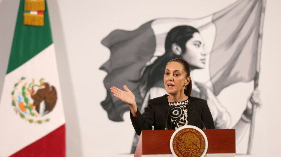 Tarifas de Trump sobre o M&eacute;xico: golpe econ&ocirc;mico e oportunidade para negociar