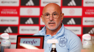 "Nuestro planteamiento va m&aacute;s all&aacute;" de Haaland, advierte De la Fuente