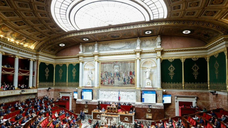 L'Assembl&eacute;e s'empare du budget, "probable" 49.3 mercredi