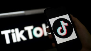 EU-Parlament verbietet Tiktok f&uuml;r Mitarbeitende