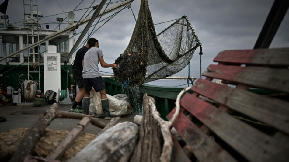A bord de l'Itsas-Bellara, le bateau p&ecirc;cheur de d&eacute;chets flottants au Pays basque