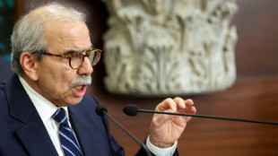 Liban: le gouvernement examine un plan de l'armée pour désarmer le Hezbollah