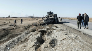 En Syrie, le pouvoir accorde un nouveau sursis aux Kurdes