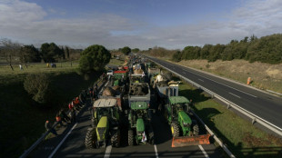 Balkan nations offer lessons on handling cow virus sowing turmoil