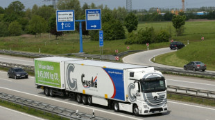 EU-Parlament ber&auml;t Dienstag &uuml;ber grenz&uuml;berschreitenden Transport mit Lang-Lkw