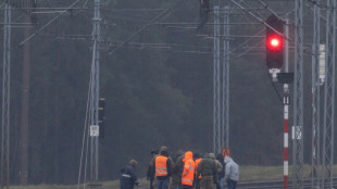El primer ministro polaco denuncia el "sabotaje" de una línea ferroviaria hacia Ucrania