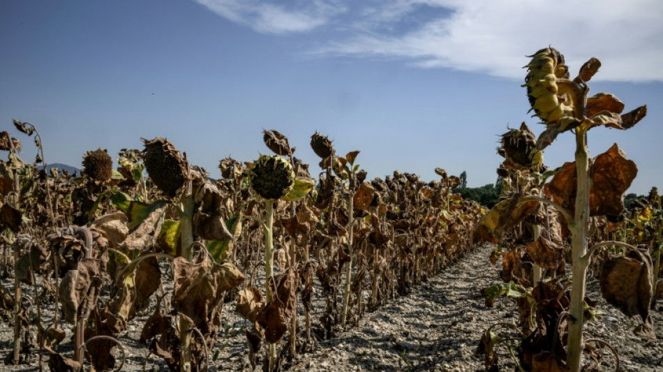 L'&eacute;pisode de chaleur tardif se poursuit en France
