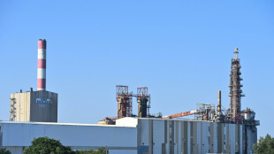 Fibre Excellence : d'ex-salari&eacute;s relancent les machines au nom de "la s&eacute;curit&eacute;"