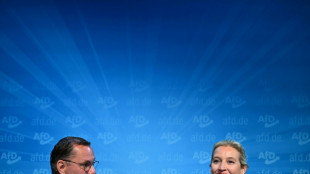 Landesminister Pegel fordert Einblick in AfD-Gutachten für Bundesländer