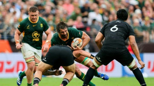 Former captain De Villiers hails 'fantastic' Springboks