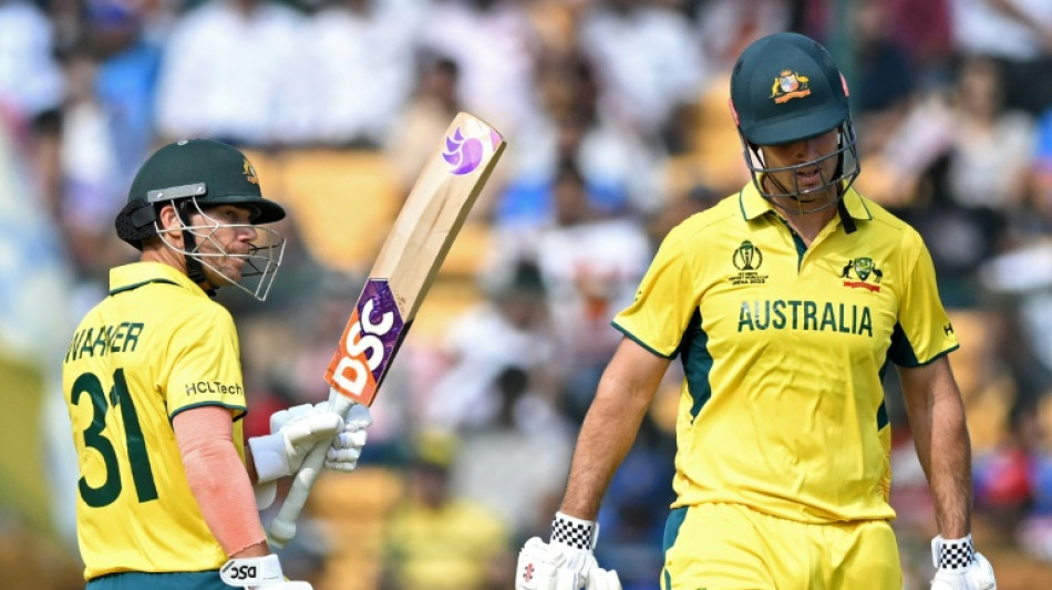 Australia's Warner, Marsh in 259-run opening stand against Pakistan at World Cup