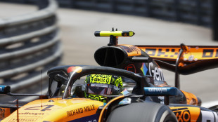 Brasile, Norris in pole davanti ad Antonelli