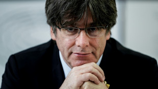 Spanisches Gericht er&ouml;ffnet "Terrorismus"-Ermittlungen gegen Puigdemont