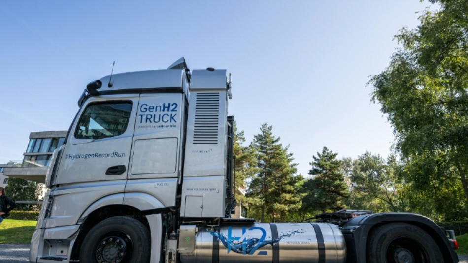 Wirtschaftsweise f&uuml;r Fokus auf Elektro-Lkw zur Dekarbonisierung des G&uuml;terverkehrs