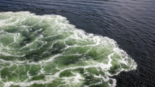 Schwimmer in Ostsee vermisst - Gro&szlig;einsatz vor K&uuml;ste von Mecklenburg-Vorpommern