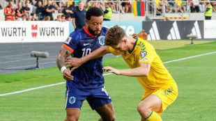 Depay becomes Netherlands' top scorer in World Cup qualifying win