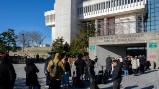 Presunto asesino en serie de las playas de Nueva York se declara culpable (medios)