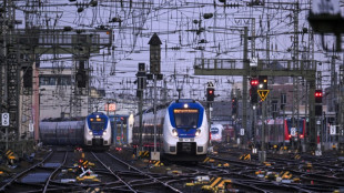 Nouvelle vague de gr&egrave;ve dans les transports en Allemagne