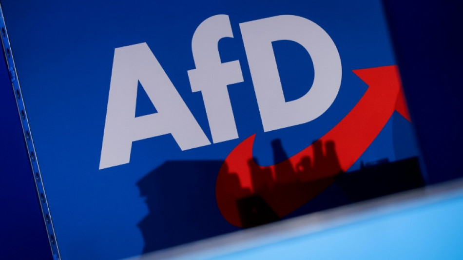 Erneut Forderungen nach AfD-Verbot - Mehrere Demonstrationen am Sonntag
