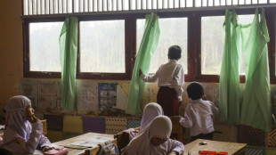 'Eat the rich': Indonesians protest against graft, wildfires