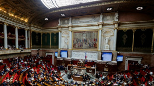 Industrie verte: le projet de loi aux mains des députés avant la trêve estivale