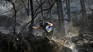 Kolumbien bittet im Kampf gegen verheerende Waldbr&auml;nde um internationale Hilfe