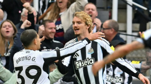 England: Woltemade trifft gegen Arsenal - und verliert