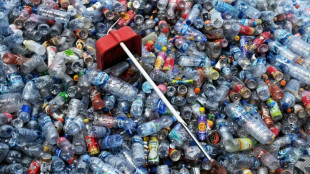 Pollution plastique: "cinq strat&eacute;gies d'&eacute;vitement" des industriels d&eacute;nonc&eacute;es par l'ONG Surfrider