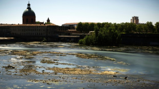 S&eacute;cheresse: la Garonne en "crise" en amont de Toulouse, niveau d'alerte in&eacute;dit