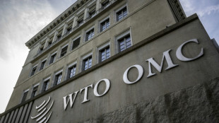 WTO must reform, 'status quo is not an option': chief