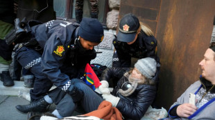 Greta Thunberg en pointe d'une action contre des &eacute;oliennes en Norv&egrave;ge