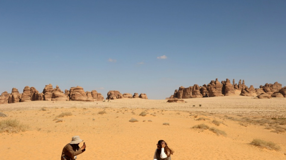 Deutsche Reisende in Golfstaaten: Gr&uuml;ne und Linke kritisieren Wadephul