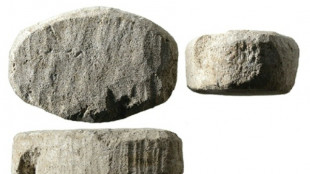 Una IA desentra&ntilde;a los secretos de un juego de mesa de la &eacute;poca romana