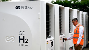 En France, dans les festivals d'&eacute;t&eacute;, les groupes &eacute;lectrog&egrave;nes testent l'hydrog&egrave;ne